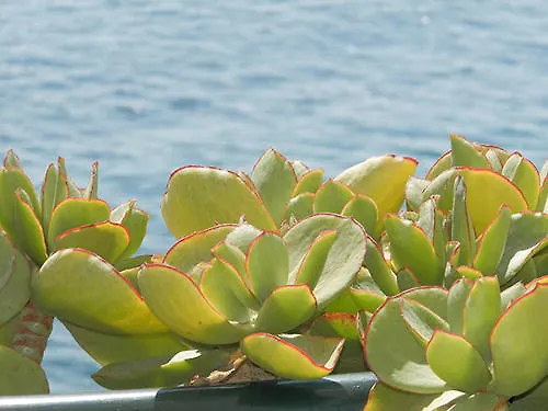 Aparthotel Apollon 2*